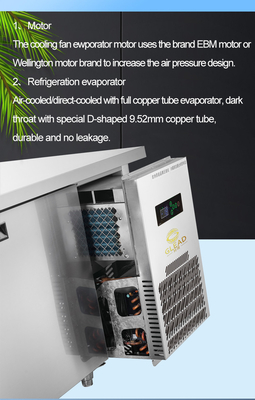 220V-240V 5°C -0°C Porta de vidro dupla Equipamento de refrigeração industrial 150L Display Chiller