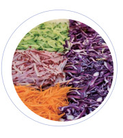 Capacidade 304 Equipamento de processamento de vegetais de aço inoxidável com cortador de vegetais de largura e frequência de 50 Hz