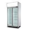Mostra ereta do refrigerador de duas portas para o iogurte da garrafa do suco do leite da bebida da bebida